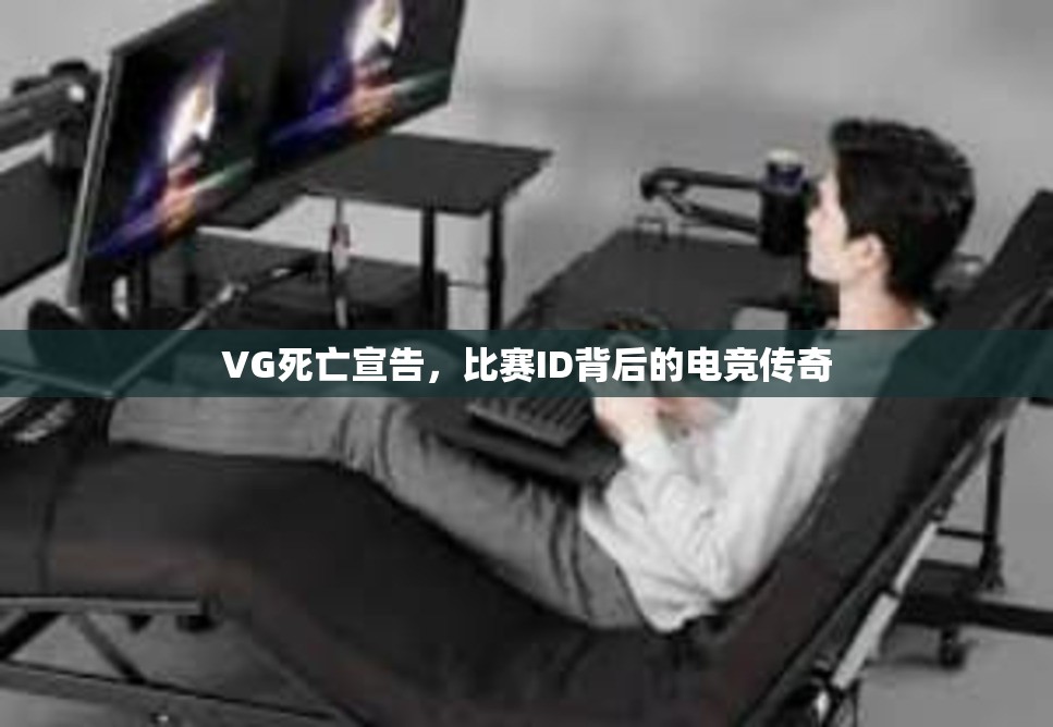 VG死亡宣告，比赛ID背后的电竞传奇